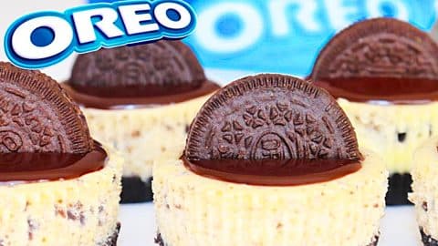 Mini Oreo Cheesecakes Recipe | DIY Joy Projects and Crafts Ideas