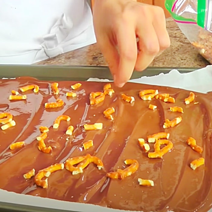 Chocolate Pretzel Bark Recipe - Easy Way To Make Pretzel Bark - Two Ingredient Pretzel Bark