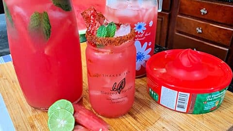 Watermelon Agua Fresca Recipe | DIY Joy Projects and Crafts Ideas