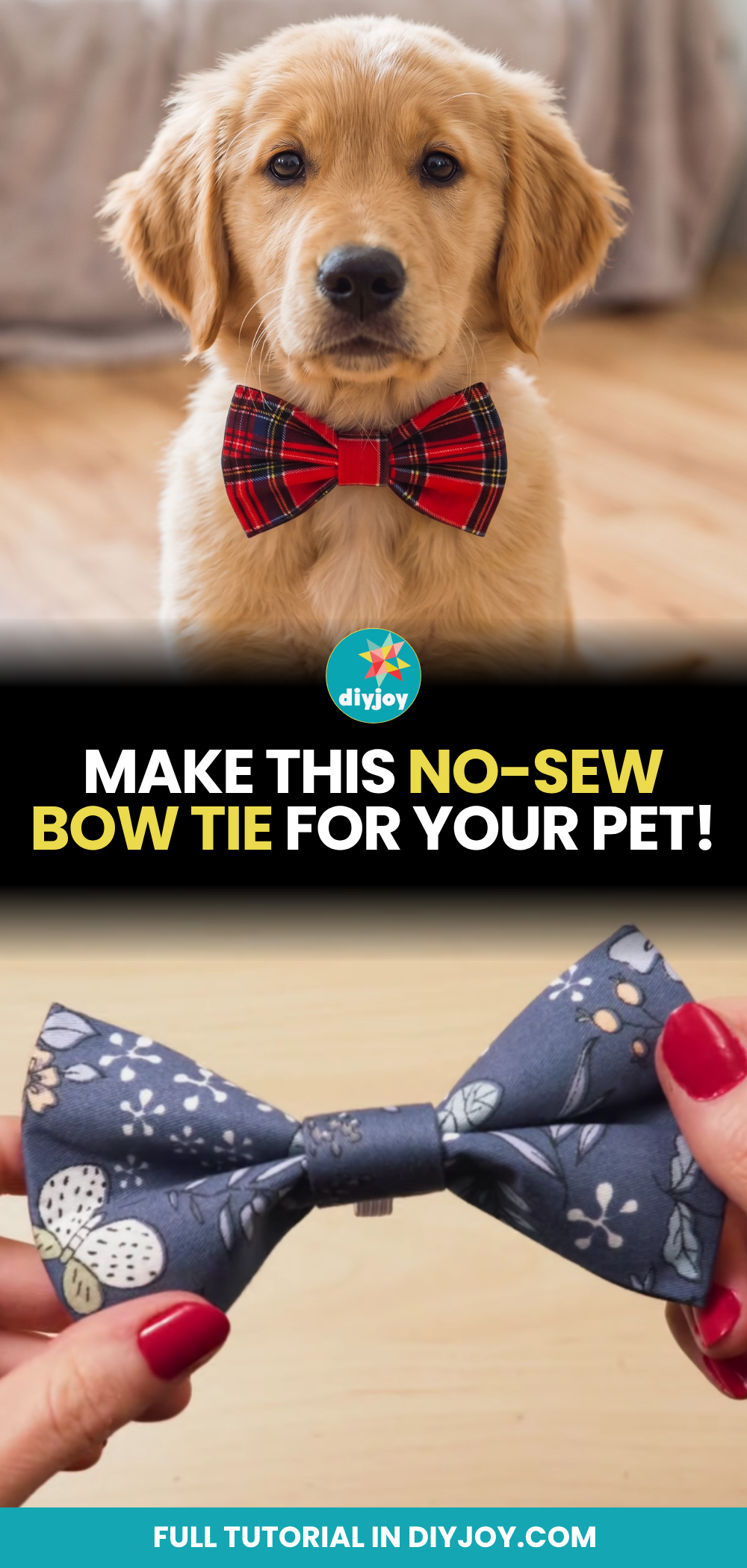 Make this No-Sew Bow Tie for Your Pet!
