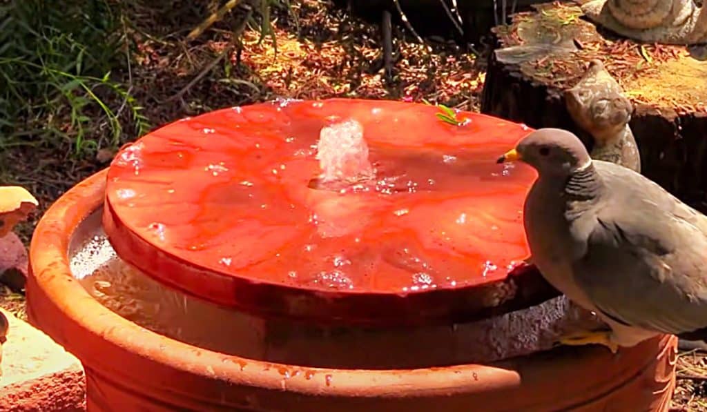 DIY Terracotta Recirculating Birdbath - How To Build A Bird Bath - Easy Outdoor Decor