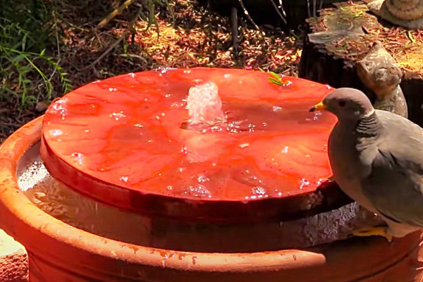 DIY Terracotta Recirculating Birdbath - How To Build A Bird Bath - Easy Outdoor Decor