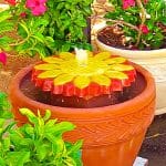 How To Make A Recirculating Birdbath