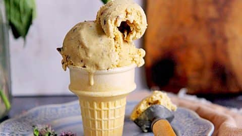 Homemade Butter Pecan Ice Cream Recipe | DIY Joy Projects and Crafts Ideas