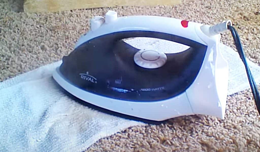 How To Clean Carpet With A Steam Iron - Steam Iron Cleaning Ideas - How To Remove A Pet Stain