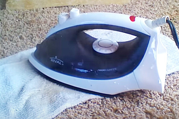 How To Clean Carpet With A Steam Iron - Steam Iron Cleaning Ideas - How To Remove A Pet Stain