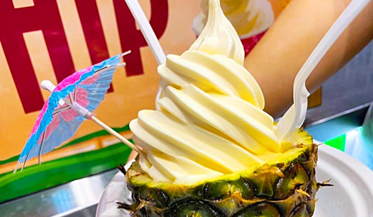 Copycat Disney World Dole Whip Recipe | DIY Joy Projects and Crafts Ideas