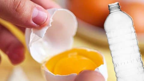 How To Separate Egg Yolks With A Water Bottle | DIY Joy Projects and Crafts Ideas