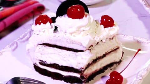 Black Forest Ice Cream Sandwich Cake Recipe | DIY Joy Projects and Crafts Ideas