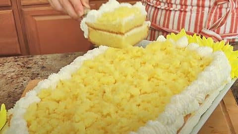 Italian Mimosa Cake Recipe | DIY Joy Projects and Crafts Ideas