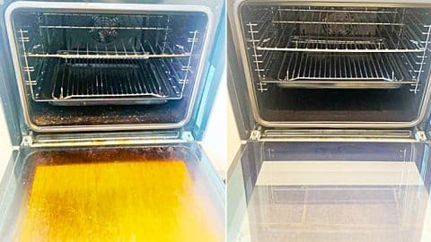 How To Clean Oven Racks | DIY Joy Projects and Crafts Ideas