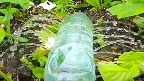5-Minute Soda Bottle Sprinkler | DIY Joy Projects and Crafts Ideas