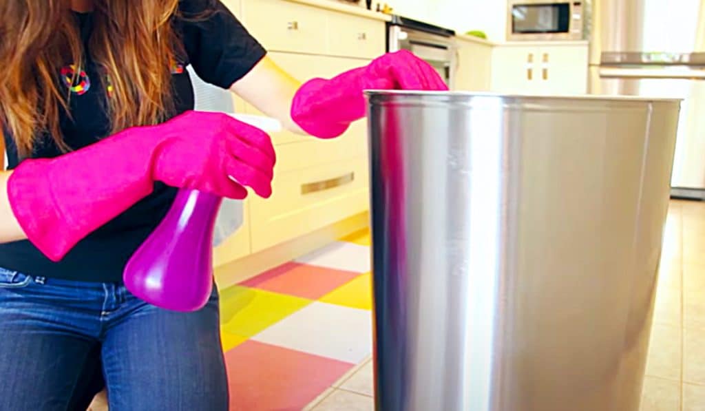 How To Clean Indoor And Outdoor Trash Cans - Remove Odor From Trash Cans - Trash Can Hacks