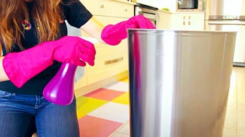 Easy Way To Clean Indoor And Outdoor Trash Cans | DIY Joy Projects and Crafts Ideas