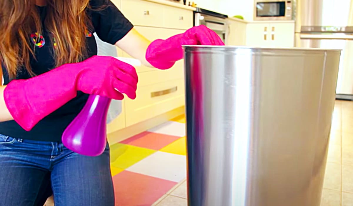 Easy Way To Clean Indoor And Outdoor Trash Cans | DIY Joy Projects and Crafts Ideas