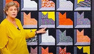 Triple Play Pins And Paws Quilt