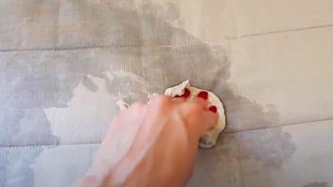 How To Clean Pet Stains From A Couch | DIY Joy Projects and Crafts Ideas