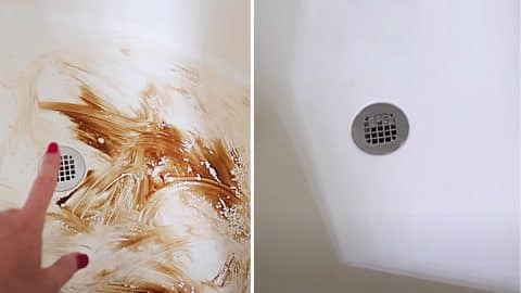 How To Clean Shower Floor Scum The Easy Way | DIY Joy Projects and Crafts Ideas