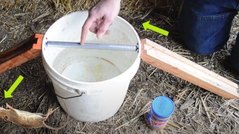 DIY Mouse Trap Uses Peanut Butter, Then Lands Them In A Bucket of Water | DIY Joy Projects and Crafts Ideas