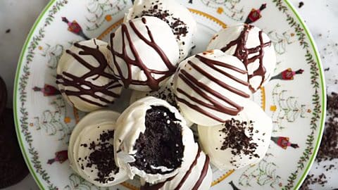 3-Ingredient Oreo Balls Recipe | DIY Joy Projects and Crafts Ideas