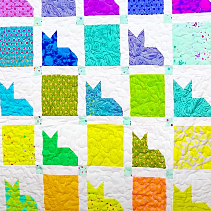 Easy Way To Make A Cat Quilt - Triple Play Paw Quilt With Jenny Doan - Cat Quilt Ideas