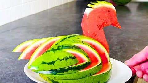 How To Make A Watermelon Swan | DIY Joy Projects and Crafts Ideas