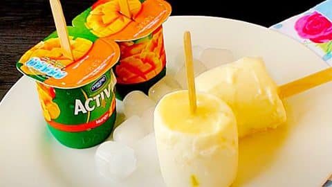 Frozen Yogurt Popsicle Hack | DIY Joy Projects and Crafts Ideas