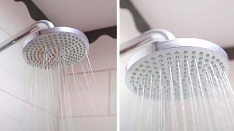 How To Clean Limescale From A Showerhead | DIY Joy Projects and Crafts Ideas