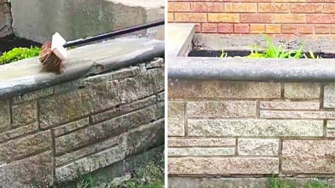 How To Clean Outdoor Brick On The Cheap | DIY Joy Projects and Crafts Ideas