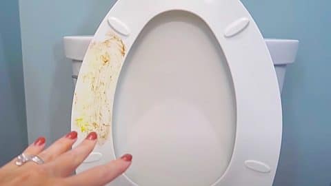 Remove Yellow Stains From The Toilet Seat And Lid | DIY Joy Projects and Crafts Ideas