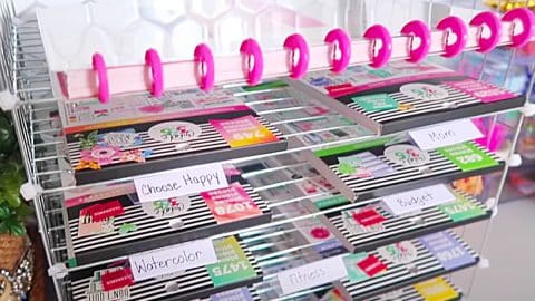 Dollar Tree Cooling Rack Organizer | DIY Joy Projects and Crafts Ideas