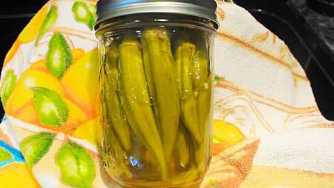 How To Pickle Okra | DIY Joy Projects and Crafts Ideas