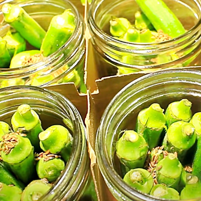 Preserve Your Okra - Canned Vegetable Ideas - Pickled Spicy Okra