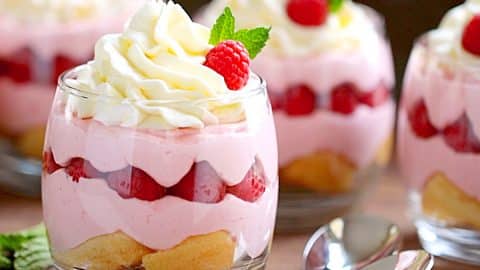 Raspberry Mousse Cups Recipe | DIY Joy Projects and Crafts Ideas