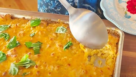 Pioneer Woman’s Sheet-Pan Mac And Cheese Recipe | DIY Joy Projects and Crafts Ideas