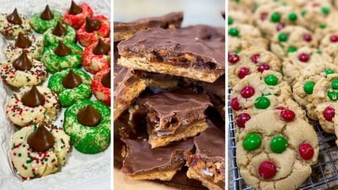 5 Easy Christmas Cookies Ideas | DIY Joy Projects and Crafts Ideas