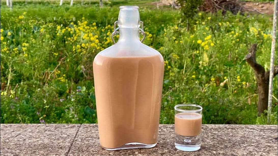 How to Make Baileys Irish Cream at Home | DIY Joy Projects and Crafts Ideas