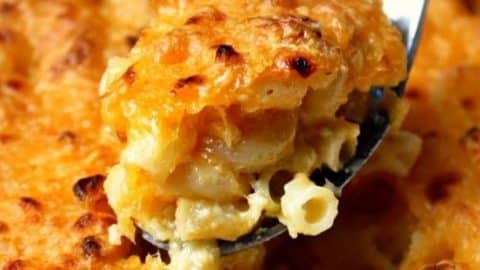 How to Make a Winning Southern Baked Macaroni and Cheese | DIY Joy Projects and Crafts Ideas
