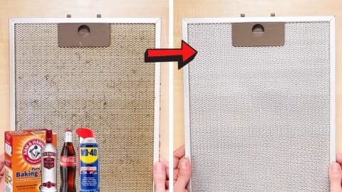 6 Unusual Cleaning Hacks That Actually Works | DIY Joy Projects and Crafts Ideas