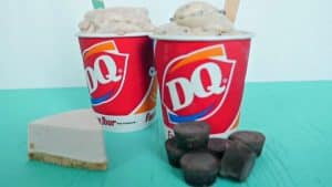 How to Make A Vegan Dairy Queen Blizzard
