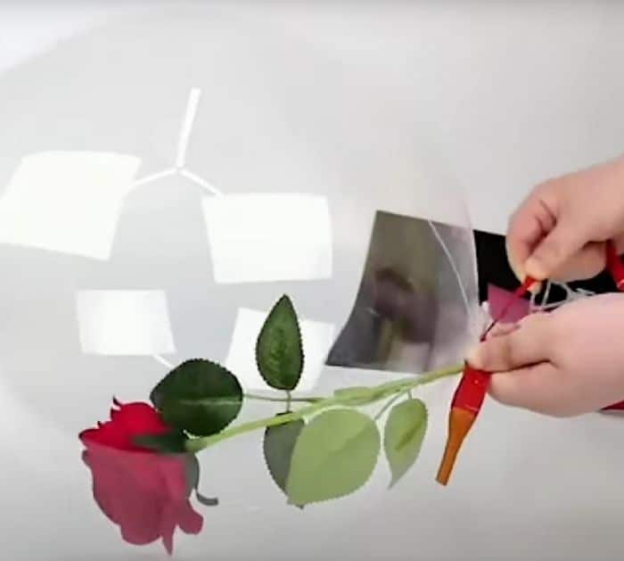 DIY Balloon Bouquet with Butterflies/How to put a Rose inside Bobo balloon  