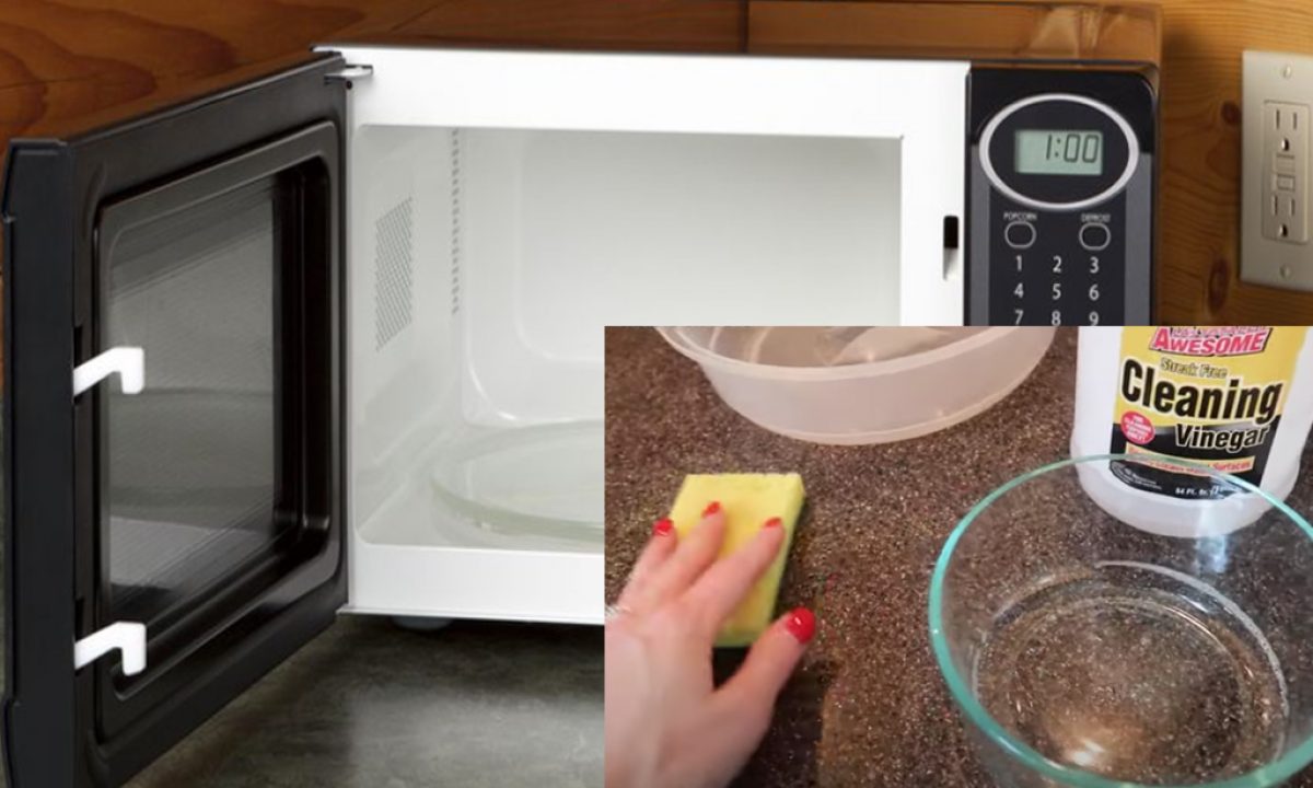 Clean microwave store with vinegar