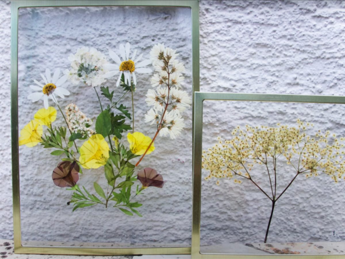DIY Framed Pressed Flowers