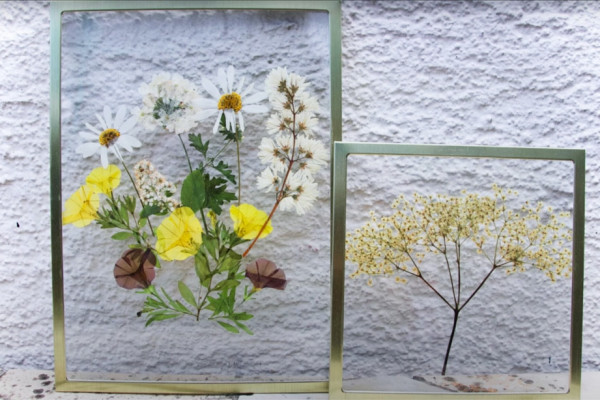 diy framed pressed flowers tutorial