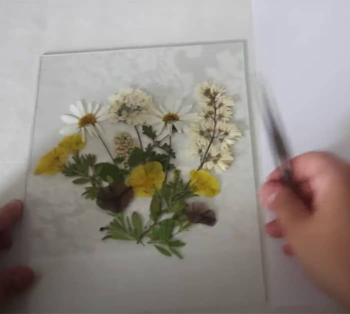 steps to make a framed pressed flower