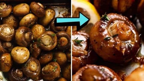 Garlic Butter Roasted Mushrooms Recipe | DIY Joy Projects and Crafts Ideas