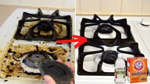 How To Clean Your Stove Top With Baking Soda And Vinegar | DIY Joy Projects and Crafts Ideas