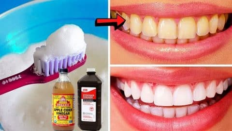 8 Ways To Naturally Whiten Your Teeth | DIY Joy Projects and Crafts Ideas