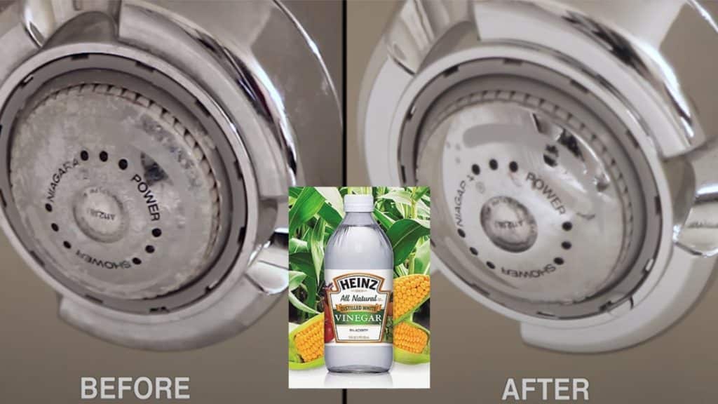how to clean a grimy shower head with vinegar