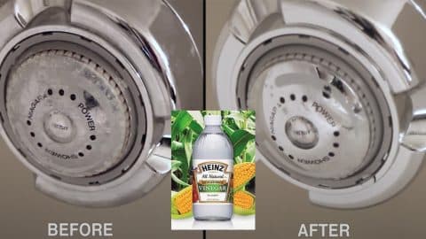 How to Clean a Grimy Shower Head with Vinegar | DIY Joy Projects and Crafts Ideas
